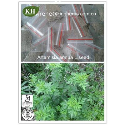 Artemisinin China Herbal Extract CAS:63968-64-9