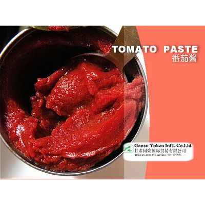 Supply new crop (20/30 36/38) Tomato paste (HB&CB) in drum