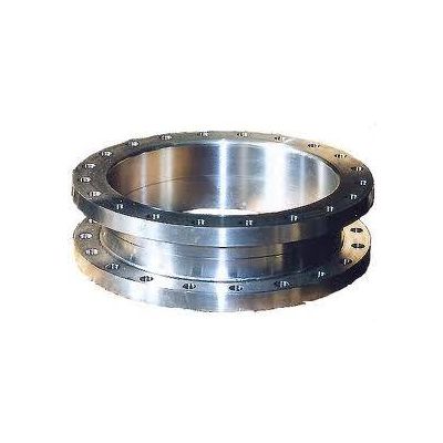 Forge Weld Neck Stainless Steel Flange