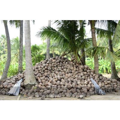 Pellet Machine for Coconut Shell in stock
