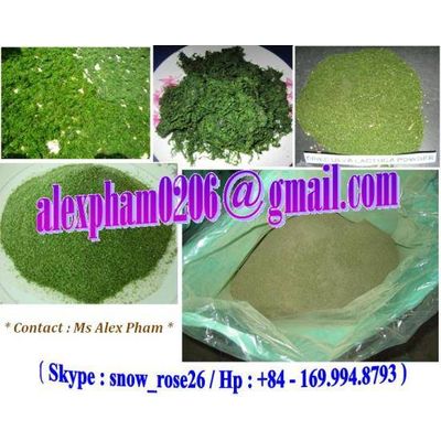 ulva lactuca seaweed powder/ green seaweed/ sea lettuce. ALEXPHAM0206(at) GMAIL(dot)COM
