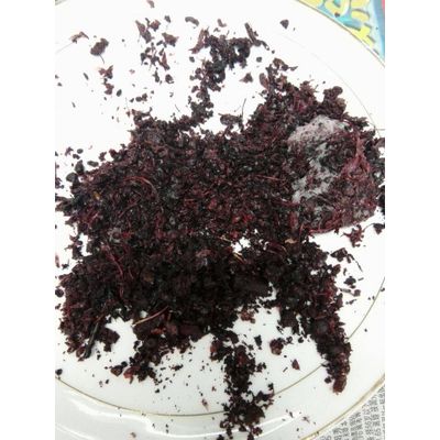 concentrate and pomace of berry products and black currant