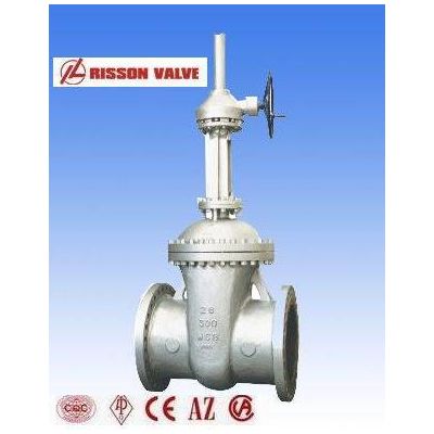 big dimension gate valve/valves