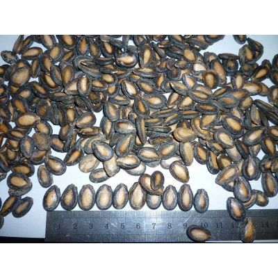 New Crop Chinese Black Watermelon Seeds