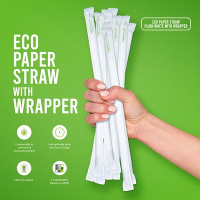 Paper Straw Biodegradable
