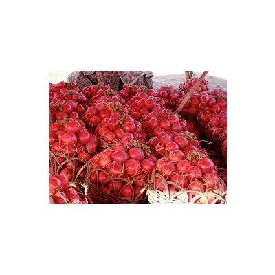 Fresh pomegranate for sale