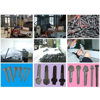 Self Trapping Screw Spike, Rail Spike, Track Spikes, Cut Track Spikes for Railway