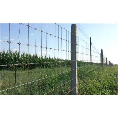 Woven Wire Mesh Fence
