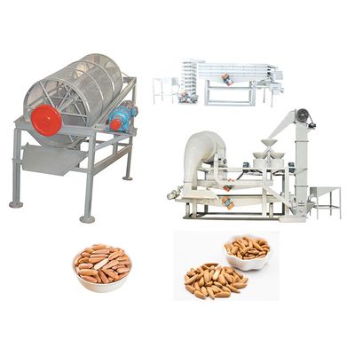Pakistan pine nut processing machine