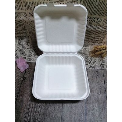 Biodegradable Bagasse To Go Food Container Disposable Bento Lunch Box