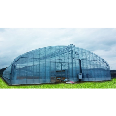 Wide Span Truss-Framed Greenhouse