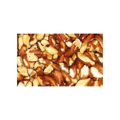 Brazil Nuts | Cashew Nuts |Apricot | Betel Nuts |