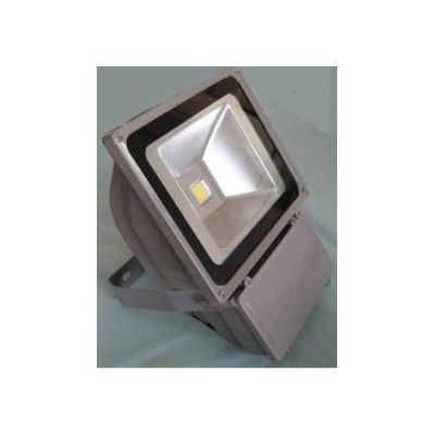 LED project light lamp series(70W)
