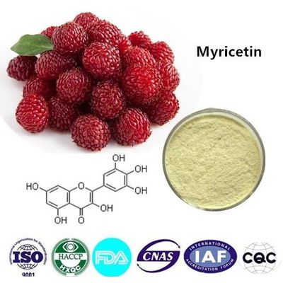 Myricetin  98% HPLC CAS NO:529-44-2 1kg/bag