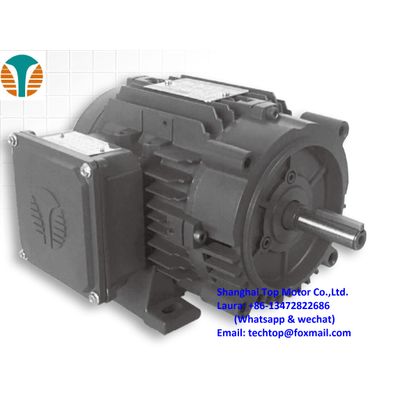 TDA Series NEMA Premium Efficiency Three-Phase Motors Aluminum ODP ...