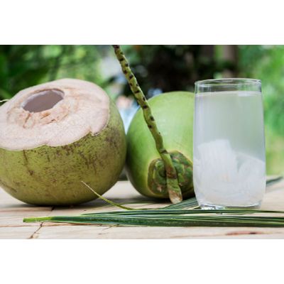 Global Gap Tropical Fresh Fruits From Vietnam - Fresh Young Coconut Fruit