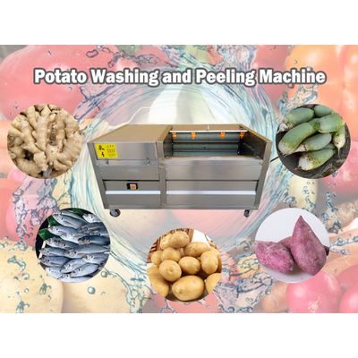 How does a commercial potato peeling machine work? - Taizy Machinery