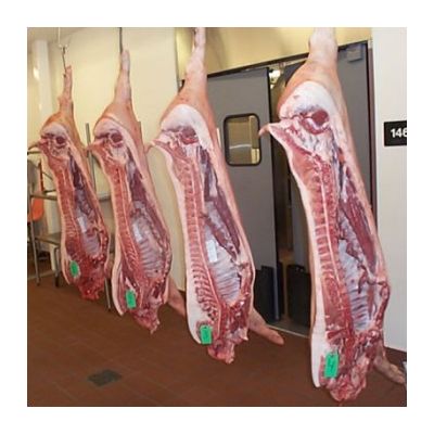 Frozen pork small interstine and other pork parts for sale