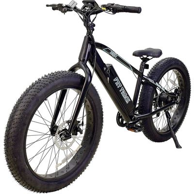 Fat Tire Electric Bike 500W Motor 48-V/13-A Sanyo Battery 9-Speed Hub