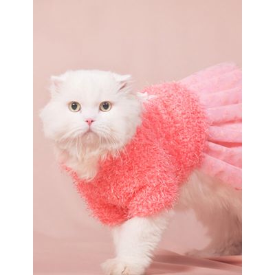 Cat Wedding Dress Manufacturer Cat Princess Plush Chiffon Dress