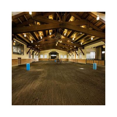 Agriculture steel structure building/steel structure indoor horse riding arena working platform