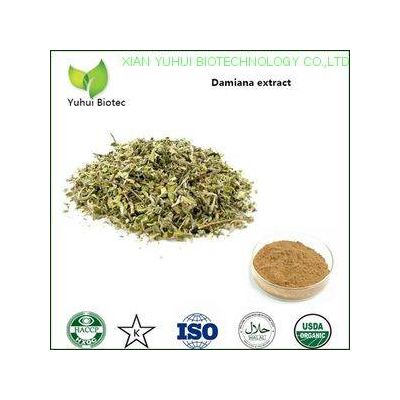 strengthening yang damiana leaf extract powder,sexual powder natural damiana extract