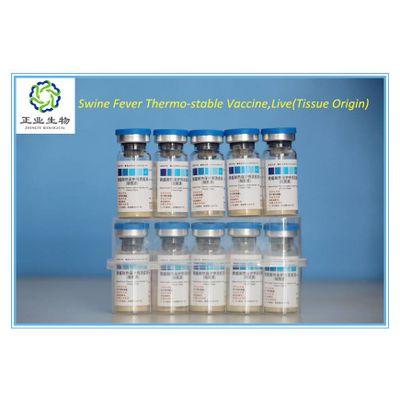Swine Fever Thermo-stable Vaccine,Live(Tissue Origin)