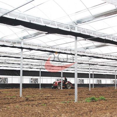 Agriculture Plastic Large Multi Span Greenhouse for Sale