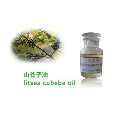 pure natural litsea cubeba oil,spice oil,CAS No. 68855-99-2