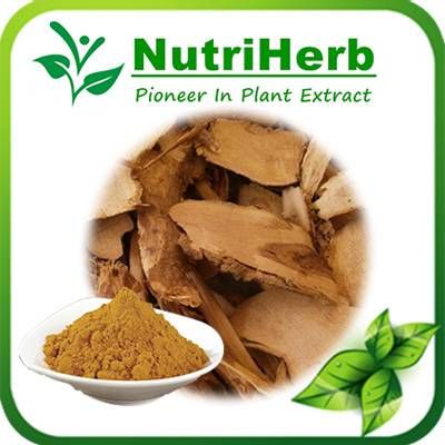 Eleuthero root extract / Siberian Ginseng Extract 0.8%-1.5% Eleutheroside