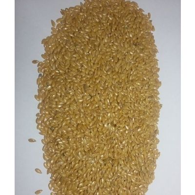 Flax seeds CIF China