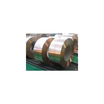 Nickel Silver Strips / Copper Nickel Zinc Alloys / Zinc Cupronickel Strips