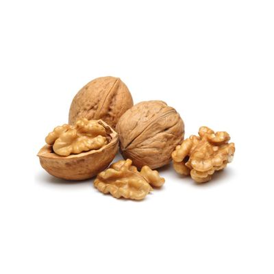 Top Quality Walnut Nuts for sale