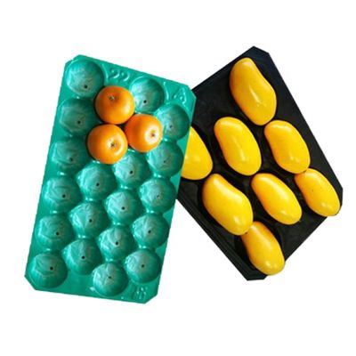 Multicolor Disposable Fruit Tray Plastic Liner Tray Supplier