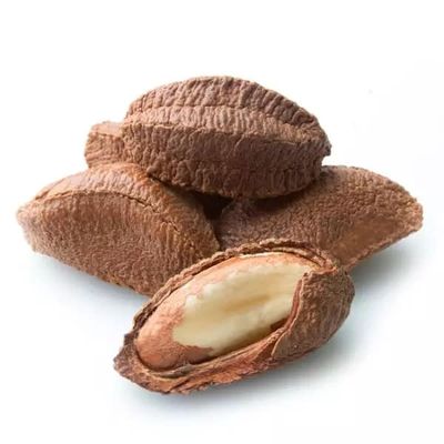 NUTS BRAZIL From Top Suppliers In Peru