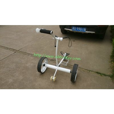 High Quality Stainless steel Golf cart with double brushless motors