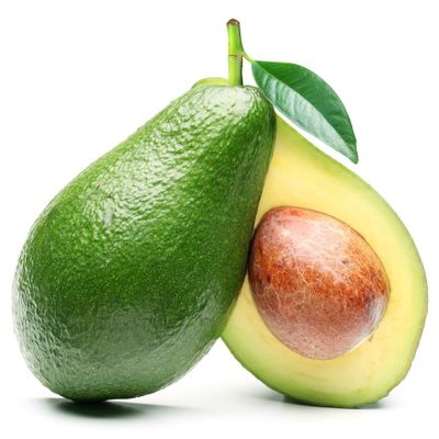 FRESH AVOCADO with HIGH QUALITY and BEST PRICE