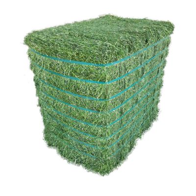 Alfalfa Hay For Animal Feed, Alfalfa Pellets