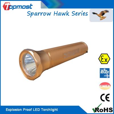 Rechargeable LED Torchlight Explosion Proof 3W Flashlight