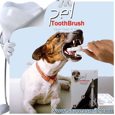 At-home pet teeth cleaning kit shareusmile dental care toothbrushes