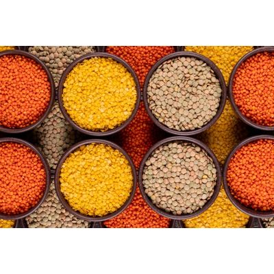 Red, Yellow and Brown Lentils For Sale