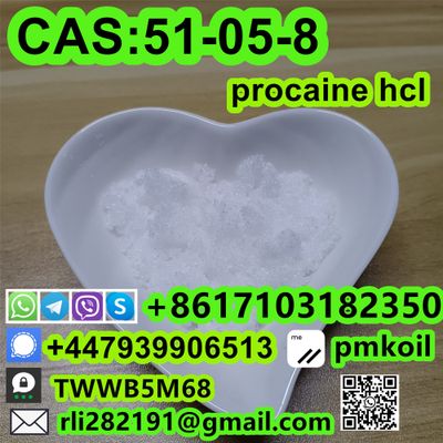 CAS:51-05-8 Procaine hydrochloride CAS 51-05-8 high purity 99%