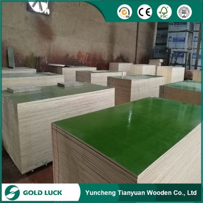 Plastic Coated /PP Plywood with colors