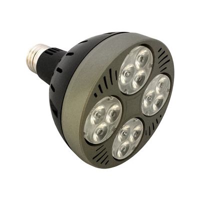 New Design 25W-35W LED Par30 lamp
