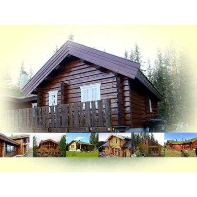 Log cabins and cottages