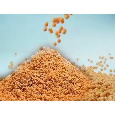 SOYbean MEAL - Heat-treated full-fat soy (HTF soy)
