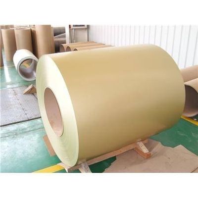 Color Coated Steel Coil/PPGI