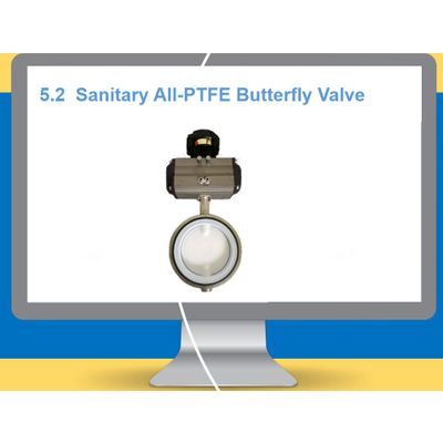 Sanitary All-PTFE Butterfly Valve