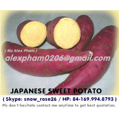 fresh sweet potato/ purple sweet potato/ frozen slices sweet potato/ sweet potato starch/ batata