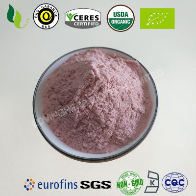 Organic pomegranate juice powder
